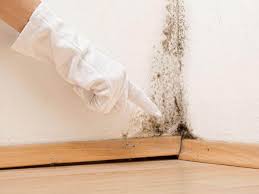 Best Basement Mold Removal  in Hoopa, CA